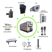 Chaudière à vapeur au biomasse DZH de 1 tonne avec fonctionnement simple et entretien pratique, chaudière à vapeur au biomasse