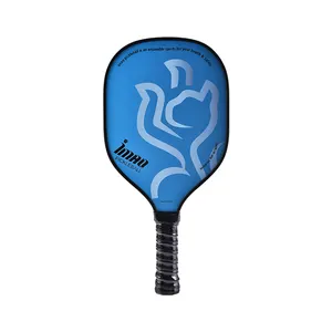 Tùy chỉnh vợt bán buôn Trọng lượng nhẹ cao cấp bằng gỗ pickleball Paddle Set với 4 pickleballs