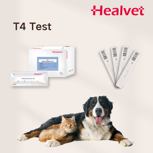 Bandelettes de test rapide de qualité supérieure pour l'analyse quantitative vétérinaire de l'hormone thyroïdienne <span class=keywords><strong>T4</strong></span> chez le chien et le chat - Product Image 2