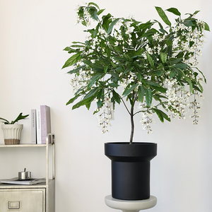 Venta al por mayor, sala de estar, jardín, balcón, planta decorativa, jardineras de cemento mate, maceta de hormigón suculenta - Product Image 6