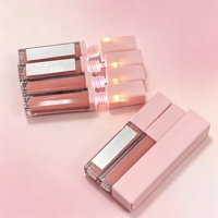 Vente en gros de rouge à lèvres liquide vegan imperméable de haute qualité, tubes lumineux LED, gloss à lèvres avec miroir, possibilité de créer sa propre marque