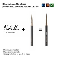 Kit de pinceaux personnalisés pour nail art avec manche métallique, en nylon multi-tailles, à virole sertie, pour liner et détails de forme capillaire
