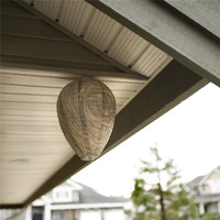 Piège à guêpes en lanterne en papier imperméable pour extérieur, répulsif anti-insectes, déguisement suspendu pour le contrôle des abeilles et des frelons