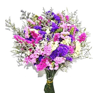 Nouvelle Arrivée Flora d'Été : Fournitures pour Fleuristes - Statice, Fleurs Éternelles Violettes, Myosotis, Fleurs Préservées - Product Image 1