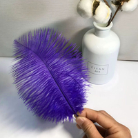 Usine Outlet Best-seller Artisanat 100% Plume 15-20cm Plumes d'autruche à tige fine pour la décoration et les fournitures de mariage