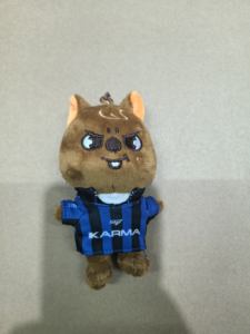 Nuevo Llavero Colgante de Peluche Suave de 12cm para Monedas, Stay Kids Fang Can Li Long Fu Felix <span class=keywords><strong>KARMA</strong></span> SKZ, Muñeco de Peluche Kpop de Dibujos Animados - Product Image 3