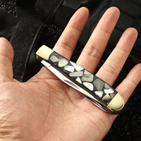 Couteau de poche pliant EDC à 2 lames pour l'extérieur, lames en acier 5Cr, couteau de survie pour le camping avec poignée en résine d'abalone et coupe-clous