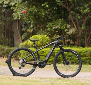Proveedor Profesional de Bicicletas Eléctricas 29er 500w con Motor Central Em8, M6100/12s+m560/500w+48v14a, Modelo Low Bike - Product Image 2