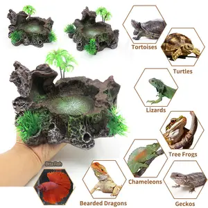 爬行动物树脂喂养食物水碗盘青蛙两栖动物爬行动物