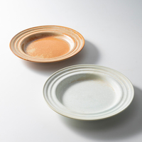 Offre Spéciale : Service de Table en Céramique Style Wabi-sabi – Assiettes et Bols à Glaçure Réactive pour Restaurants et Dîners Modernes