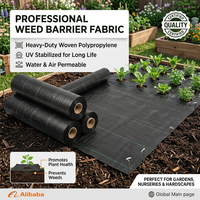 Toile de paillage agricole noire pour le contrôle des adventices, la couverture du sol et la protection des plantes en jardin