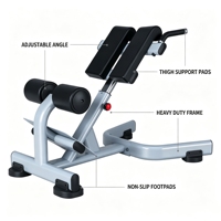 Banc d'hyperextension commercial, Chaise romaine robuste pour l'hyperextension, Équipement d'entraînement de force pour centre de fitness