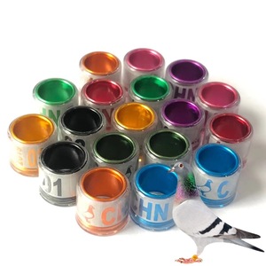 WQ 2022 Nuovo Arrivo Spagna Anelli di Piccione Per Il Giorno Vecchio Bianco Leghorn Pulcino// - Product Image 5