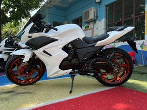 Motocyclette d'occasion Baodiao Horizon Model avec moteur de 250 cm³, vitesse supérieure à 80 km/h, puissance supérieure à 2000 W, performances extrêmement puissantes - Product Image 3