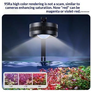 Lumière LED pour aquarium YEE, éclairage encastré pour aquarium de rivière naturelle, WRGB, spectre complet, lumière pour plantes aquatiques, floraison des algues, aquarium ornemental - Product Image 2