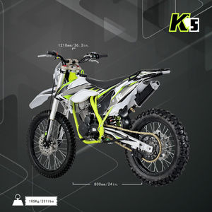 Fabricación profesional 2024 250cc Factory Direct Sports Gas <span class=keywords><strong>Pit</strong></span> <span class=keywords><strong>Bike</strong></span> Racing 19/16 Dirt <span class=keywords><strong>Bike</strong></span> - Product Image 6