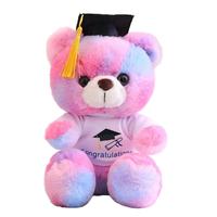 Produsen Grosir Kustom Boneka Beruang Lucu Topi Baru Beruang Dokter Beruang Wisuda Boneka Plush Mainan Bantal Hiasan Hadiah CPC CE OEM 2026