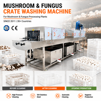 Laveuse et sécheuse industrielle continue pour paniers de fruits avec système de séchage