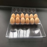 Plateau à œufs rectangulaire transparent en PET à triple pliage, emballage plastique, capacité 2x6 œufs, 2 rangées de 6 alvéoles pour 12 œufs de grande taille