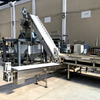 Ce Gecertificeerde Fruitbrekermachine Wortelbreekmachine