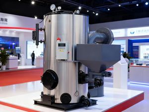 מחולל קיטור ביולוגי מסדרת LZF, דוד ביומסה, קיבולת 0.2/0.3/0.5/0.7 טון/שעה - Product Image 4