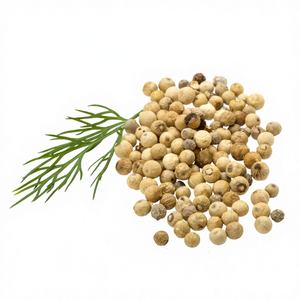 Poivre blanc Maluku Premium Agro Global Persada en gros, provenant des meilleures plantations indonésiennes, fraîcheur et goût inégalés 2 - Product Image 1