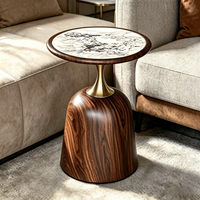 Table basse carrée moderne Tenghang en bois massif avec étagère inférieure pour salon, chambre à coucher, petit espace de rangement