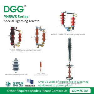 電気ライン安全のためのDGGライトニングアレスター11kV屋外ポリマータイプ - Product Image 3