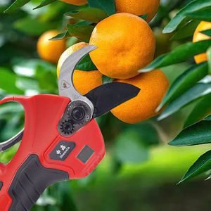 Sécateur électrique sans fil pour jardin Sécateur télescopique à batterie de 38mm avec rallonge - Product Image 5