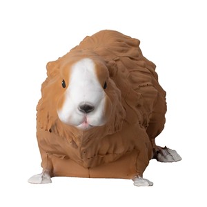 Cible de tir 3D en mousse PU pour <span class=keywords><strong>cochon</strong></span> d'Inde, entraînement de tir en extérieur pour Cavia Procellus, pour arc classique et arc à poulies - Product Image 3