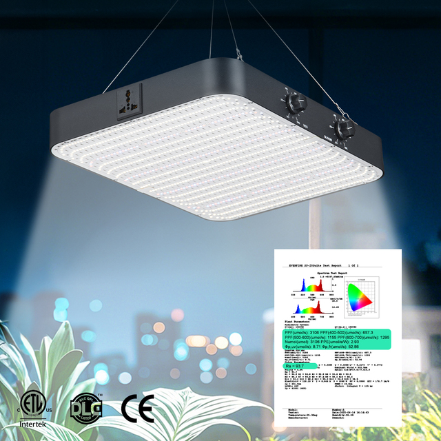 Specialized Manufacturer Full Spectrum White LED Grow Light 3500-5000K IP65 Aluminum Body for Plant Growing and Bloom