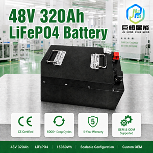 Batterie au lithium LiFePO4 48V 15,36 kWh avec BMS intelligent, cellules de batterie au lithium fer phosphate, cycle profond, grade A, rechargeable - Product Image 5