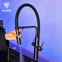 Robinet de cuisine en acier inoxydable pour eau chaude et froide, double, moderne, noir, avec tuyau en silicone et filtre