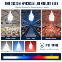 Ampoule LED D80 à spectre personnalisé pour volailles, étanche IP67 IP69K, éclairage pour poulaillers de poulets de chair, de poules pondeuses et de reproducteurs