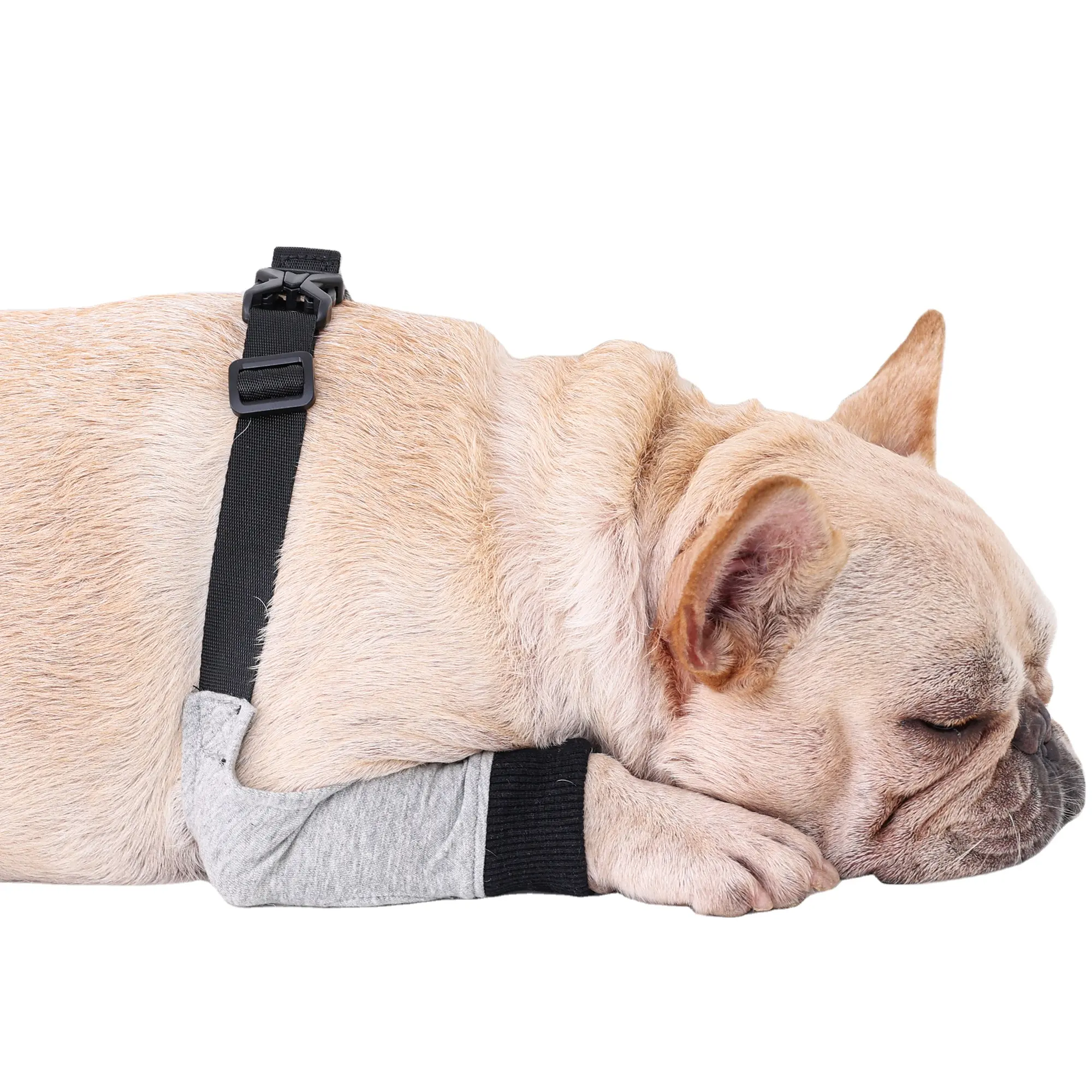 Protège-genoux à manchon de jambe de chien à curseur réglable en tissus froids respirants personnalisés en usine