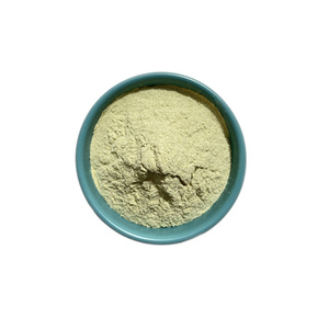 Fabrika Tedarikli En Kaliteli %100 Doğal Sarımsak Tozu Sarımsak Ekstresi <span class=keywords><strong>Allicin</strong></span> Doğal Sarımsak Ekstresi - Product Image 3