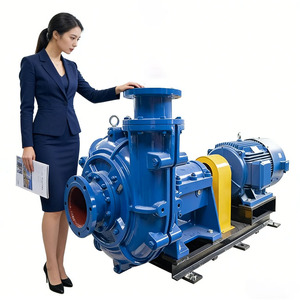 Bomba de Agua Agrícola de Alto Flujo, Bomba Centrífuga Horizontal para Agua Limpia, Personalizable OEM, 380V Eléctrica, 2 Años de Garantía - Product Image 1