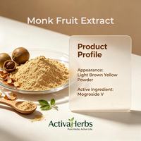Monk Fruit Extract Poeder Mogroside V 25% 50% Natuurlijke Zoetstof Calorievrij Keto Suikervervanger Groothandel