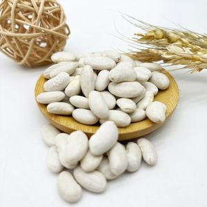 Nouvelle récolte <span class=keywords><strong>de</strong></span> gros <span class=keywords><strong>haricots</strong></span> <span class=keywords><strong>blancs</strong></span> en vrac, prix d'usine, haute qualité, vente en gros - Product Image 1