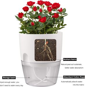 Creative Box Box fioriera con sistema <span class=keywords><strong>di</strong></span> auto irrigazione per balcone fiori fragole e verdure a foglia verde - Product Image 6