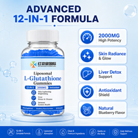 Gummies de L-Glutathion Liposomal Personnalisées OEM ODM Marque Privée, Soutien Antioxydant, Emballage Personnalisé, 2000mg Myrtille
