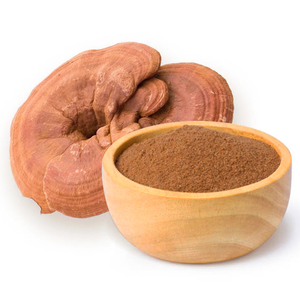 Экстракт натуральных грибов, полисахариды Рейши, сухой порошок гриба, скорлупа, сломанный порошок Ganoderma Lucidum Spore - Product Image 4