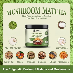 Poudre instantanée de café matcha aux champignons biologiques OEM/ODM, mélange Crinière de lion et Chaga pour la concentration et le soutien immunitaire - Product Image 3