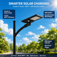 Lampadaire solaire LED tout-en-un 40W pour usage commercial et public, avec détecteur de mouvement et télécommande