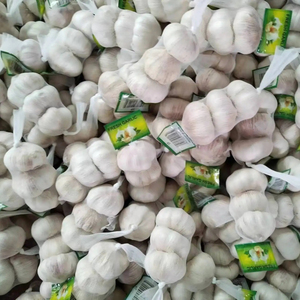<span class=keywords><strong>Ail</strong></span> frais chinois Alho pour la vente en gros de légumes frais Prix usine <span class=keywords><strong>Ail</strong></span> <span class=keywords><strong>blanc</strong></span> <span class=keywords><strong>ou</strong></span> <span class=keywords><strong>violet</strong></span> frais pour 4.0 4.5 5.0 5.5 CM Taille - Product Image 1