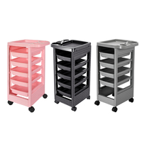 Chariot de Salon Moderne en Plastique Rose Durable à 4 Tiroirs pour Coiffure et Utilisation à Domicile/Bureau