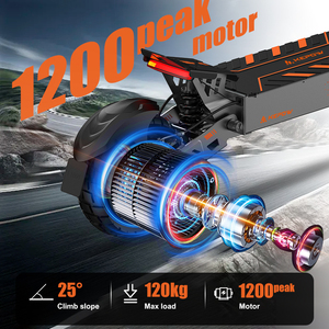 EU Warehouse Stocks Long Range Powerful Motor 10inch Scooter Aluminum Adult Scooter - Product Image 1