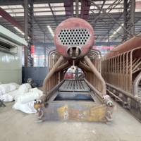 DZH5-1.25 Boiler Uap Panas Otomatis Industri Berbahan Bakar Batubara & Pelet Biomassa dengan Sistem Tabung Api-Air Horizontal