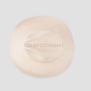 <span class=keywords><strong>Classique</strong></span> 100% Laine Beige Style Occidental Feutre Cowgirl/Cowboy Chapeaux pour Femmes/Hommes - Product Image 4