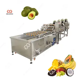 Kommerzielle 500 kg/h individuelle Ananas-Zuckerrohr-Avocado-Wäschmaschine Avocado-Sortierungs- und Waschmaschine